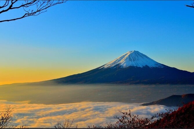 Mt. Fuji and Lake Kawaguchi Day Trip With Guide - Tour Overview