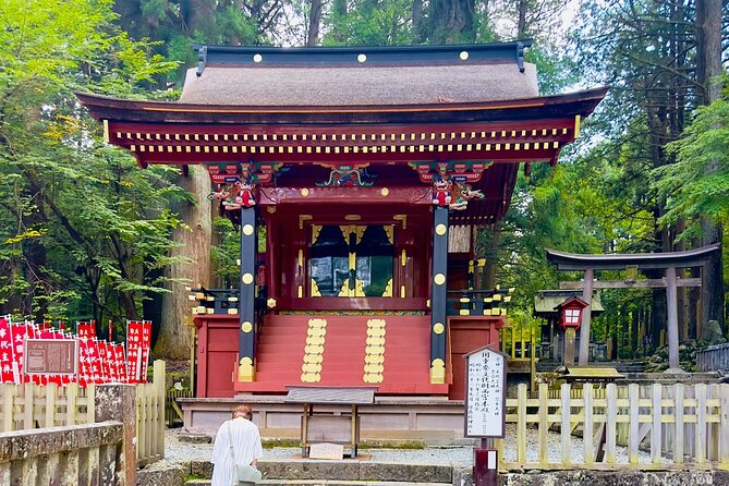 Mt. Fuji Cherry Blossom One Day Private Tour With Pickup - Transportation and Accessibility