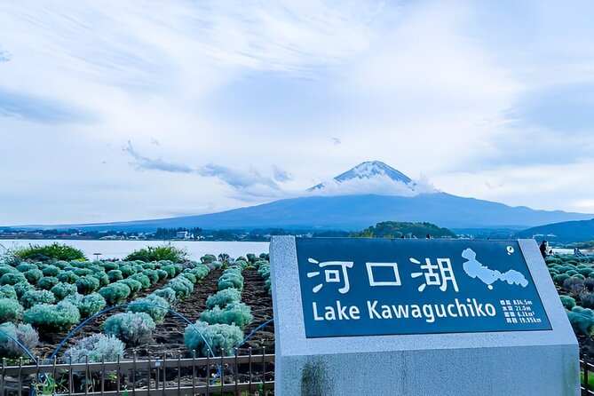Mt FUJI Day Tour With Private Car and English Speaking Guide