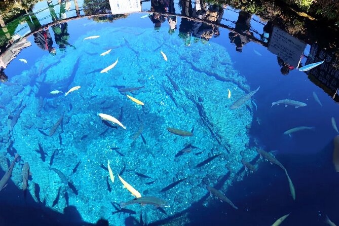 Mt Fuji Gotemba Outlet and Hot Springs Tour From Tokyo - Tour Overview