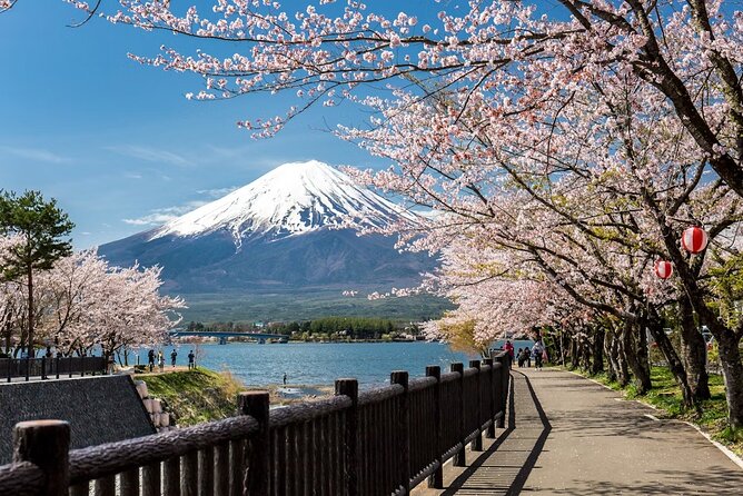 Mt Fuji, Hakone Private Tour by Car Pickup From Tokyo - Tour Overview