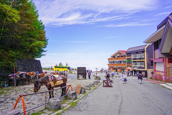 Mt. Fuji Private Chartered Tour With Nature & Wasabi Farm - Tour Overview