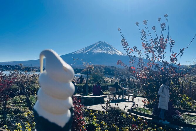 Mt Fuji Private Sightseeing Tour From Tokyo - Tour Overview