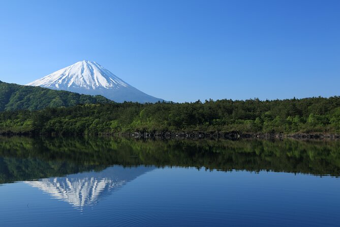 Mt Fuji Tour With Private English Speaking Driver From Tokyo - Tour Overview
