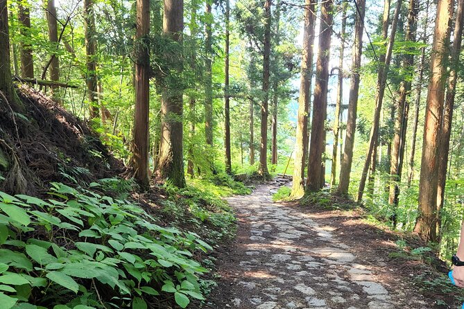 Nakasendo Samurai Trail Tour