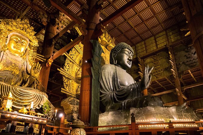 Nara 8hr Private Tour – Osaka DEP. With Licensed Guide