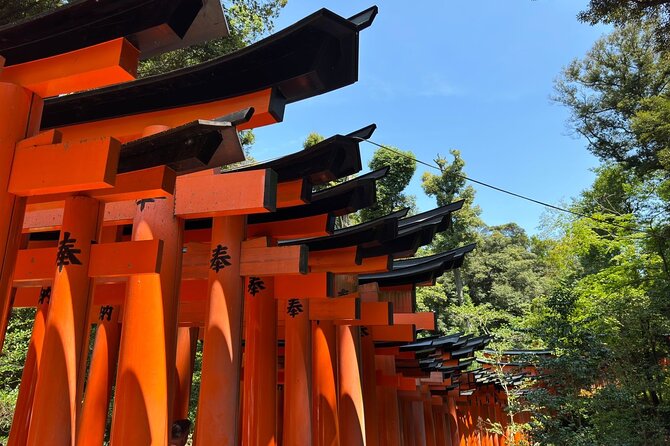 One Day Private Tour in Kyoto and Nara From Osaka - Tour Overview