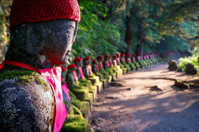 One Day Private Tour to Nikko With English Speaking Driver - The Scenic Beauty of Nikko National Park
