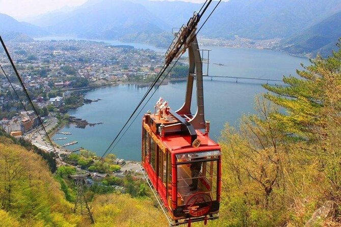 One Day Tour to Oishi Park and Fruit Picking in Mt. Fuji Tokyo - Tour Overview