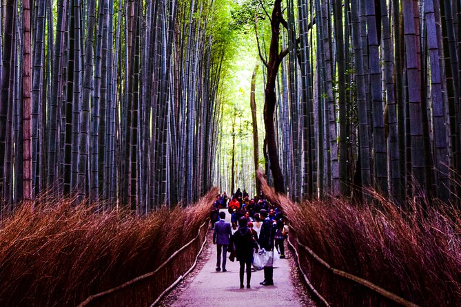 Osaka, Nara and Kyoto Day Trip With English Speaking Driver
