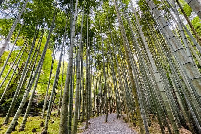 Pedal Adventure Kyoto E-Bike Tour : True Kyoto Avoid the Crowds