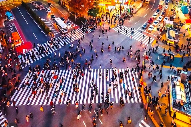 Private 1-Day Tokyo City Tour With English Speaking Driver - Tour Overview