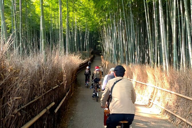 Private Exclusive Kyoto Slow Cycling Tour With Brompton