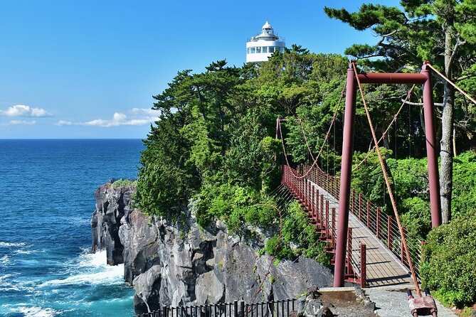 Private Full Day Tour of Izu Peninsula With Hotel Pickup - Itinerary