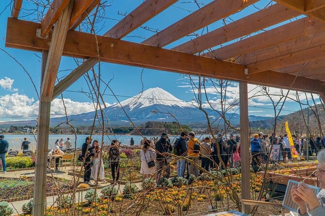 Private Guided Tour at Mount Fuji Majesty - Tour Overview