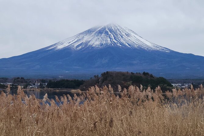 Private Hakone Mt Fuji Tour With English Speaking Driver - Tour Overview