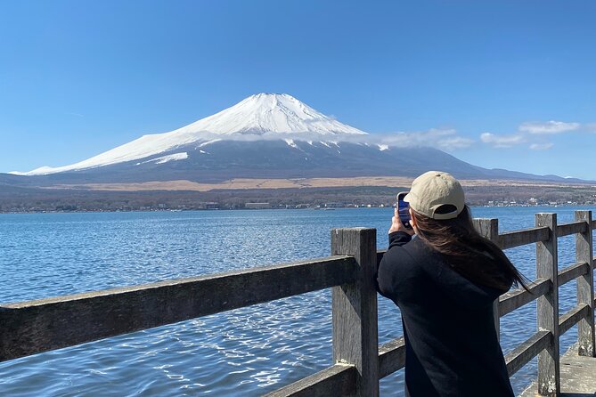 Private Hiking Tour to View Mt. Fuji - Tour Overview