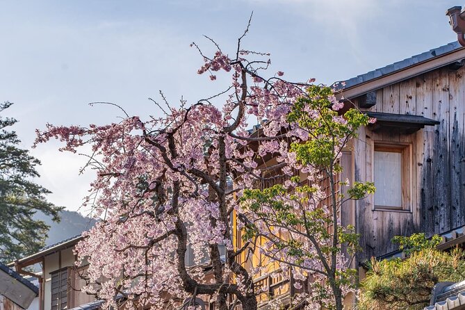 Private Kyoto Customizable Day Tour With English Guide - Pricing and Booking