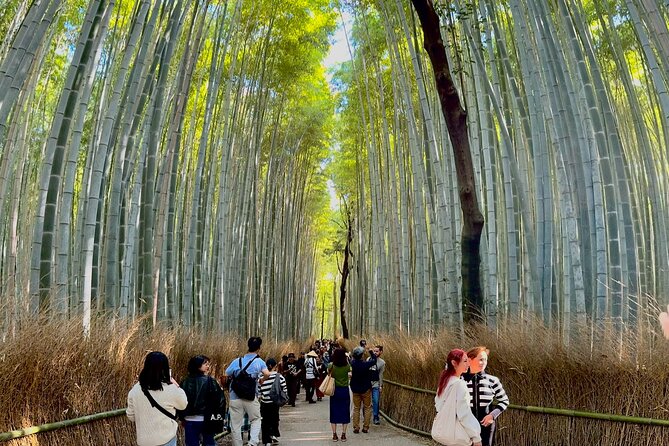 Private Kyoto Osaka Day Tour With English Speaking Driver