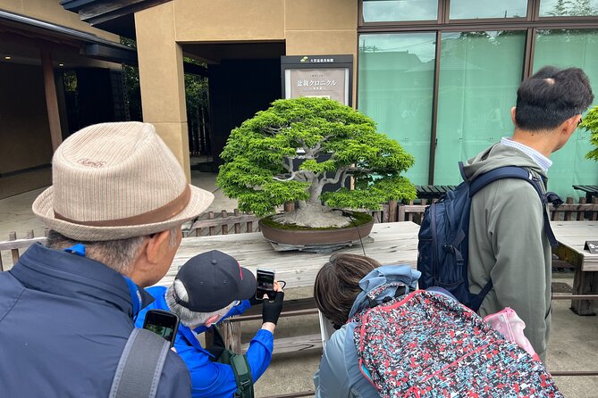Private Omiya Bonsai Village Tour With Licensed Guide - Tour Overview