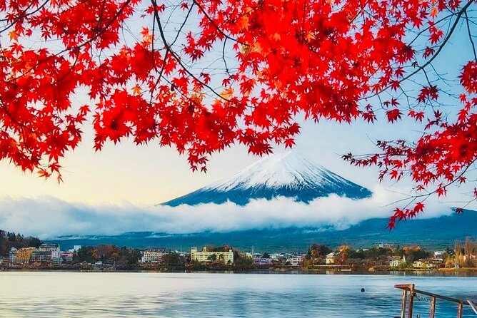 Private Sightseeing to Mt Fuji and Hakone With English Driver - Tour Overview