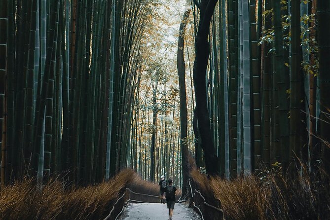 Private Sightseeing Tour to Kyoto