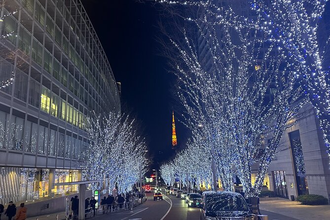 Private Tokyo Tour With Japanese Local Guide - Inclusions