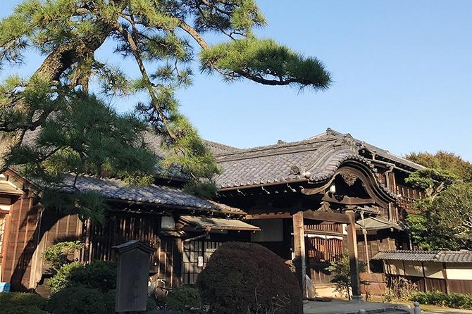 Private Tour - Thousands of Lucky Cats! Go by Tram, Gotokuji Tour - Tour Overview