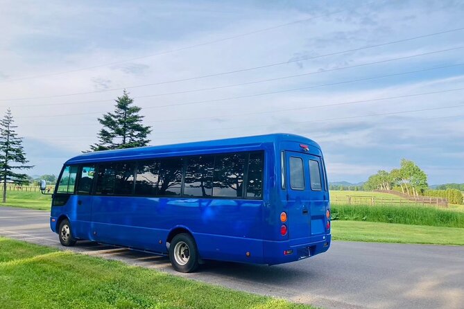 Private Transfer New Chitose Airport CTS to Niseko Hirafu - Service Overview
