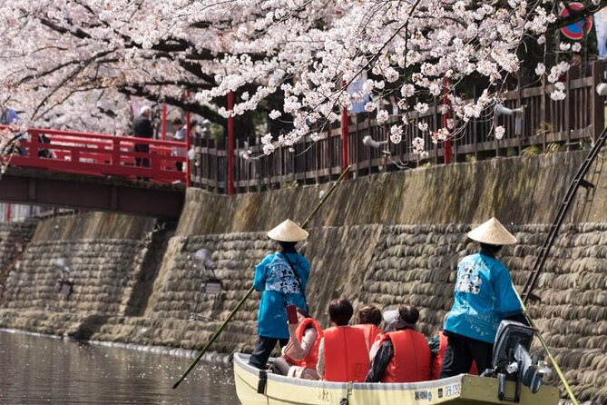 Sakura Magic and Nabana No Sato Day Tour From Osaka