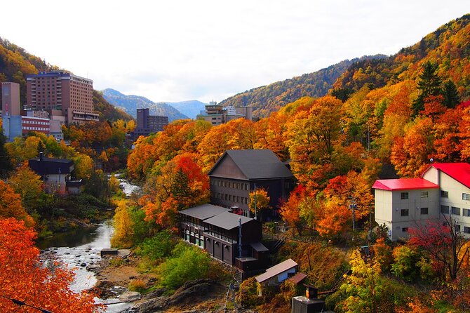 Sapporo Private Sightseeing Tour in Onsen With Special Package