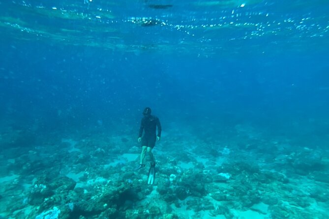 Shimoda Local Guide - Exploring Shimodas Scenic Coastline