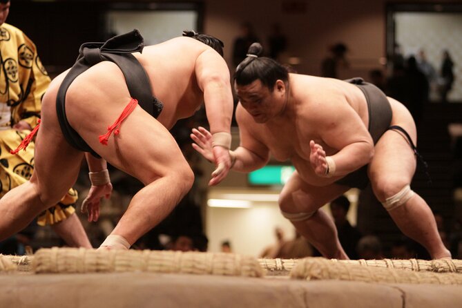 Sumo Wrestling Tournament A-Class Seats & ExpertGuide | Tokyo MAY - Event Overview