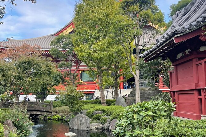 Tokyo Customizable Private Tour With English Speaking Driver - Tour Overview