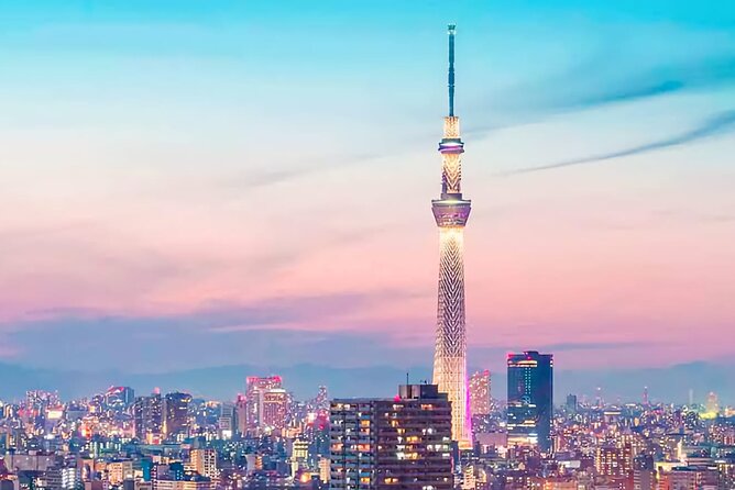 Tokyo Day Tour With English/Hindi Speaking Driver - Tour Overview