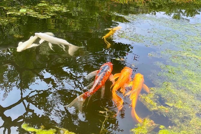 Tokyo: Imperial Palace Shogun Historical Walking Tour - Tour Overview and Highlights