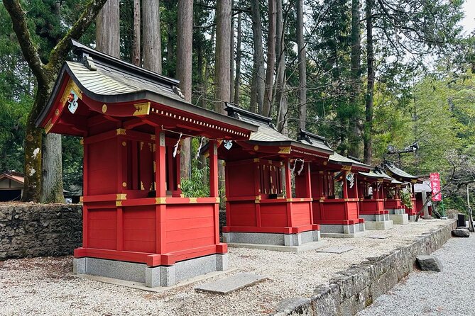 Tokyo: Mount Fuji One Day Private Tour by Car With English Guide - Tour Overview