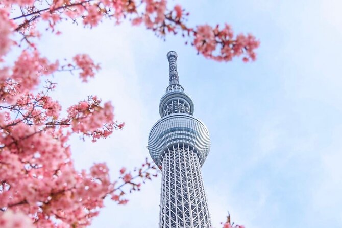 Tokyo Private Custom Day Tour With English Speaking Chauffeur - Inclusions