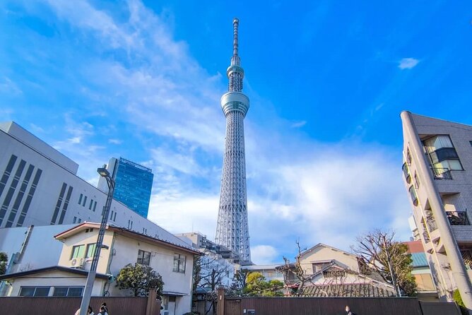 Tokyo Private Customizable One Day Private Trip With Guide - Tour Overview