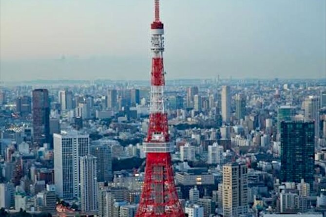 Tokyo Private Guided Tour With Hotel Pickup and Drop off - Accessibility and Participation