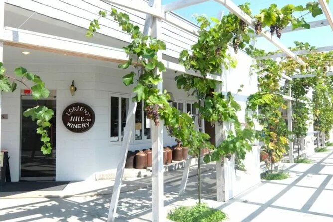 Train and Taxi Grape Temple and Winery Tour in Yamanashi - Tour Overview