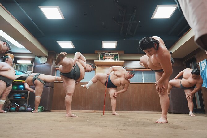 Unique Afternoon Live Sumo Training Tour in Tokyo - Tour Overview
