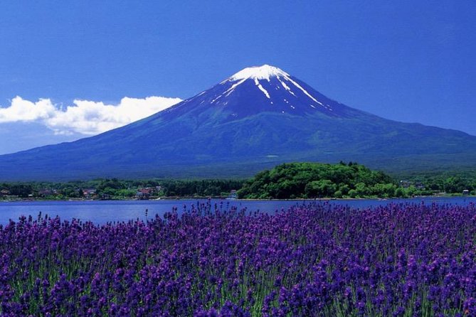 View of Mt. Fuji Is Good! Sushi Making Experience Class - Meeting and Pickup Details
