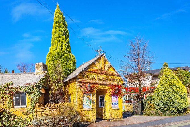 Yufuin Kinrin Lake Sea Hell Hot Springs Kyushu Zoo From Fukuoka