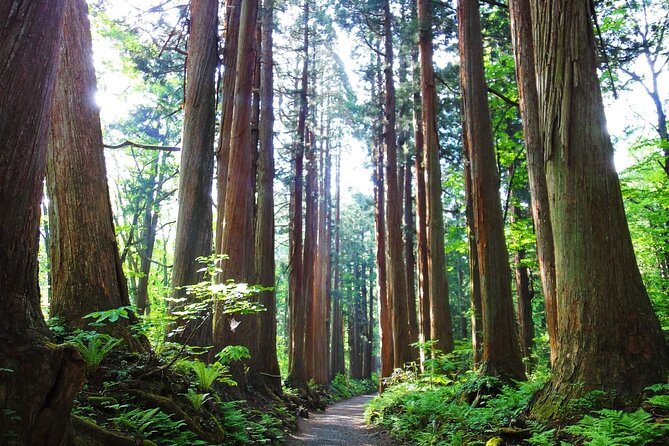 1-Day Togakushi Tour: Soba Making, Ninja Town, and Hidden Shrines - Physical Requirements and Accessibility