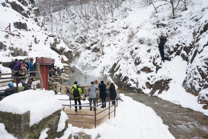 1-Day Winter Tour From Nozawa Onsen: Snow Monkeys, Zenko-ji Temple & Sake - Physical Requirements and Accessibility