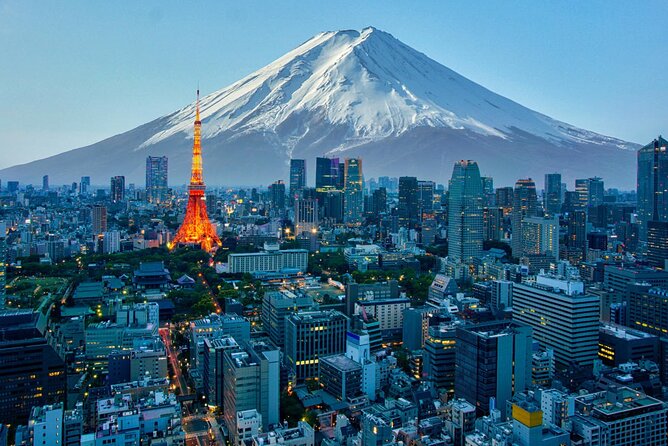 2 Day Tokyo & Fuji Private Tour by Premium Car - Inclusions