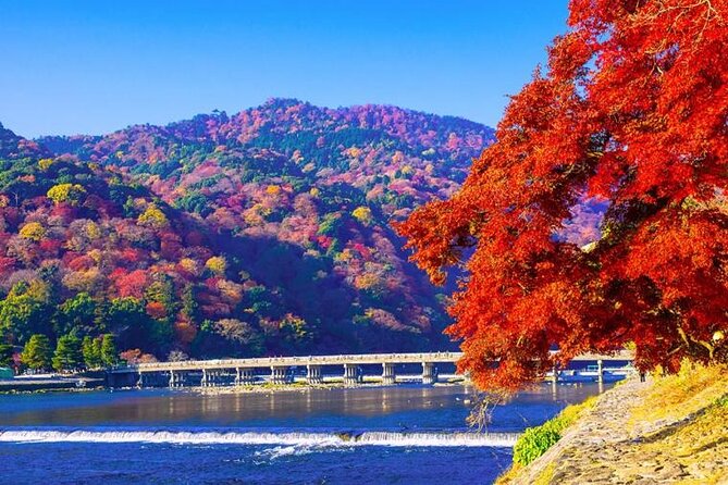 Arashiyama Bamboo & Must See Gardens With an Amazing Guide - Inclusions