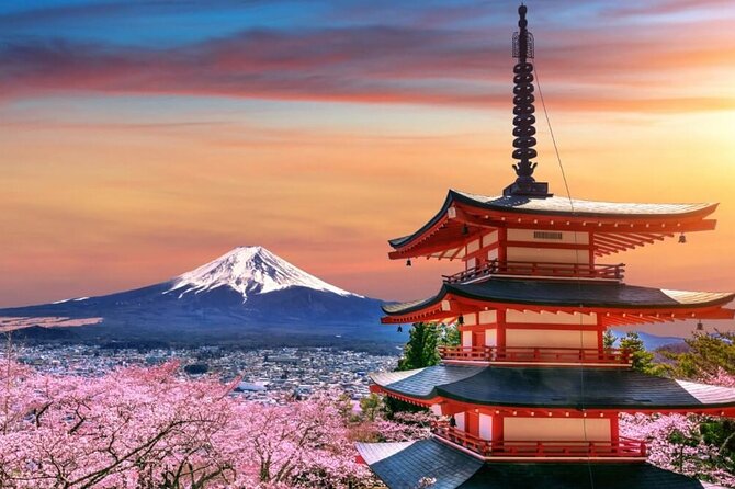 Beyond the Ordinary: Private Mount Fuji & Cherry Blossom Tour - Convenient Pickup and Drop-off Options