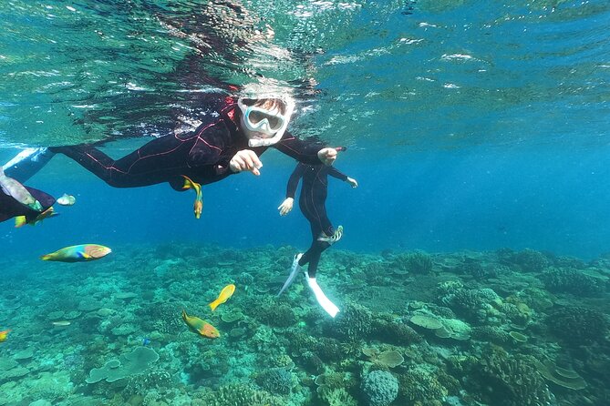 Boat Snorkeling Trip 1 Round at Nakijin, Kouri Island , Okinawa - Good To Know